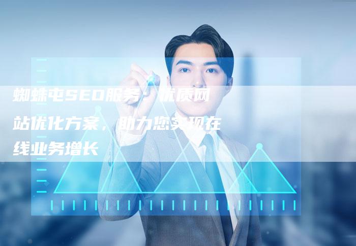蜘蛛屯SEO服务：优质网站优化方案，助力您实现在线业务增长