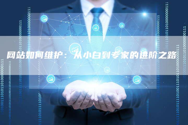 网站如何维护:从小白到专家的进阶之路-想发外链网