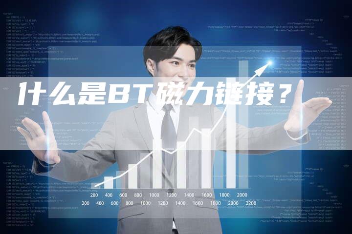 什么是BT磁力链接?-想发外链网