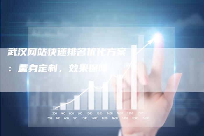 武汉网站快速排名优化方案:量身定制,效果保障-想发外链网