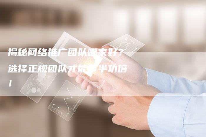 揭秘网络推广团队哪家好?选择正规团队才能事半功倍!-想发外链网