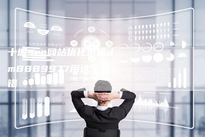 十堰seo网站优化价信dm8889977用这个不错-想发外链网