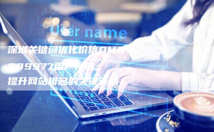 深圳关键词优化价信DM8889977用户视角: 提升网站排名的关键策略-想发外链网