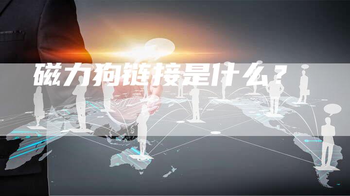 磁力狗链接是什么?-想发外链网
