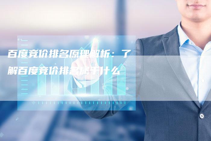 百度竞价排名原理解析:了解百度竞价排名属于什么-想发外链网