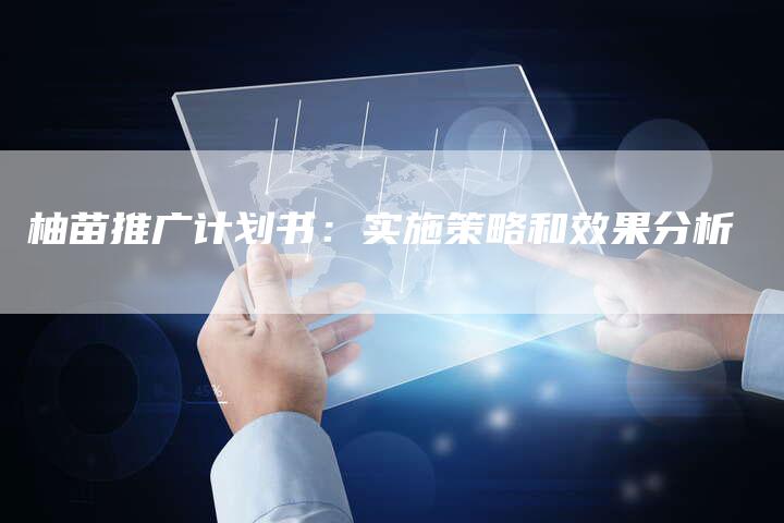 柚苗推广计划书:实施策略和效果分析-想发外链网