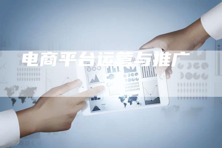 电商平台运营与推广-想发外链网