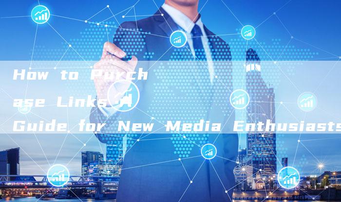 How to Purchase Links A Guide for New Media Enthusiasts-想发外链网
