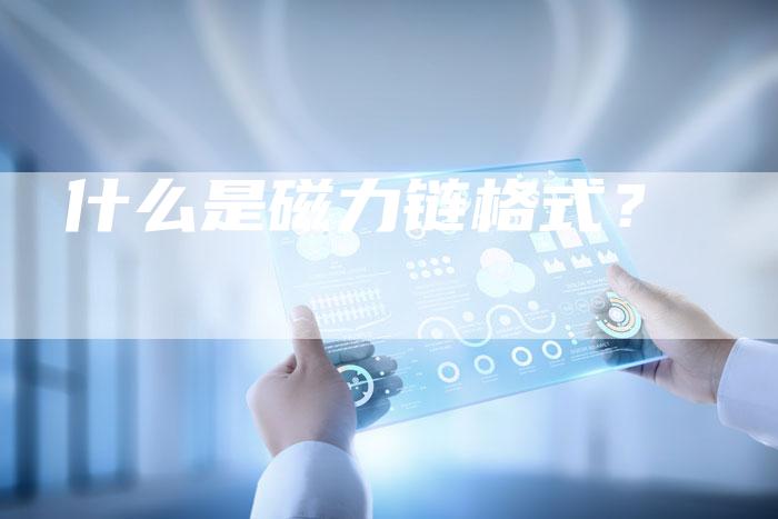 什么是磁力链格式?-想发外链网