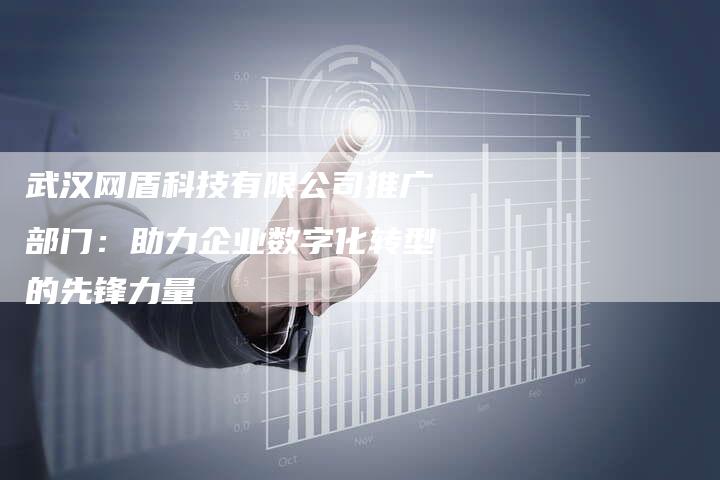 武汉网盾科技有限公司推广部门：助力企业数字化转型的先锋力量