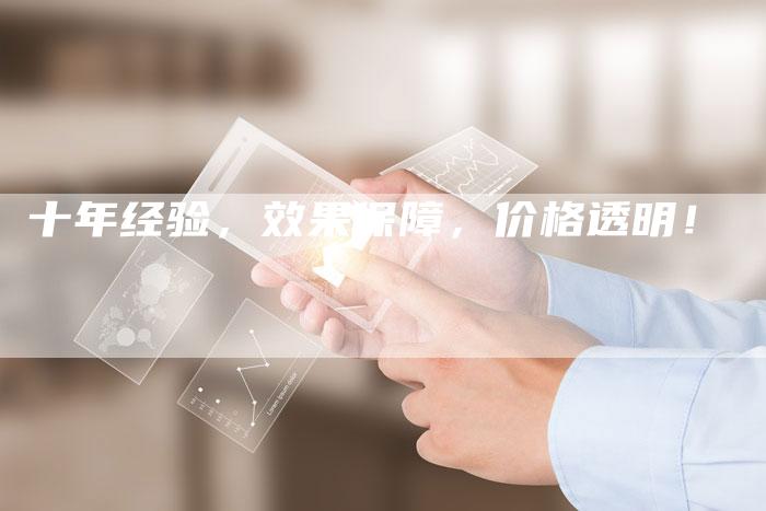十年经验,效果保障,价格透明!-想发外链网